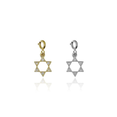 Star of David Charm