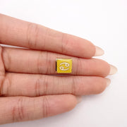 Cancer Italian Charm