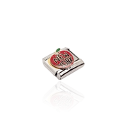 Apple New York Italian Charm