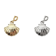 Clam Shell Charm
