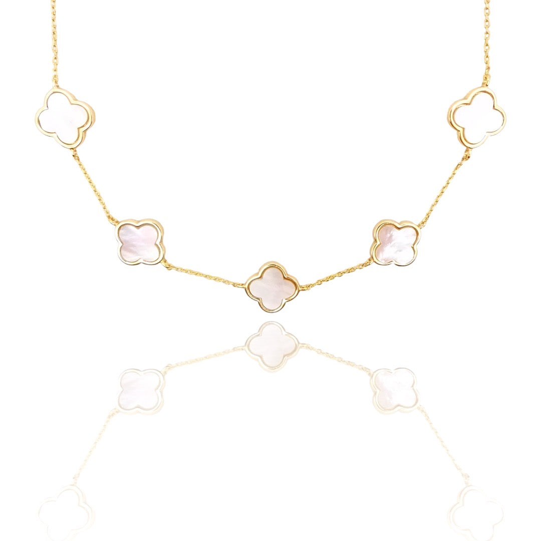 IMG_5565_ad2a558c-cfa9-426f-