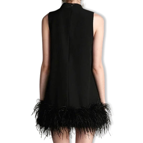 Feather Fashion Dress